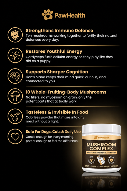 PawHealth Energy Powder